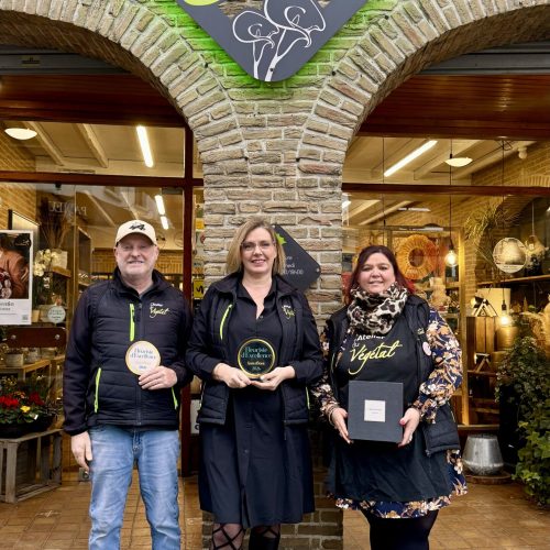 IMG_3245 - Nahalie Robache